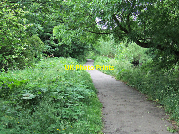 Photo 6"x4" Path by the Water of Leith Craigleith\/NT2374 c2013