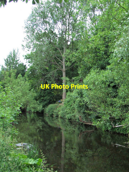 Photo 6"x4" Water of Leith Craigleith\/NT2374 c2013
