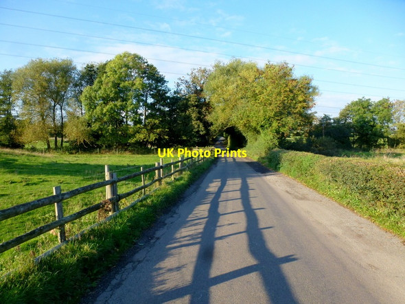 Photo 6"x4" Berry Lane Timberhonger c2013