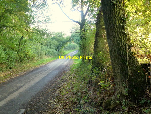 Photo 6"x4" Hockley Brook Lane Dordale c2013
