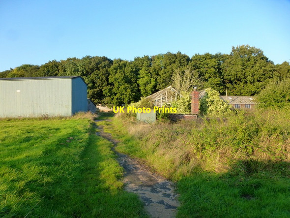 Photo 6"x4" Old redundant glasshouses Bournheath c2013