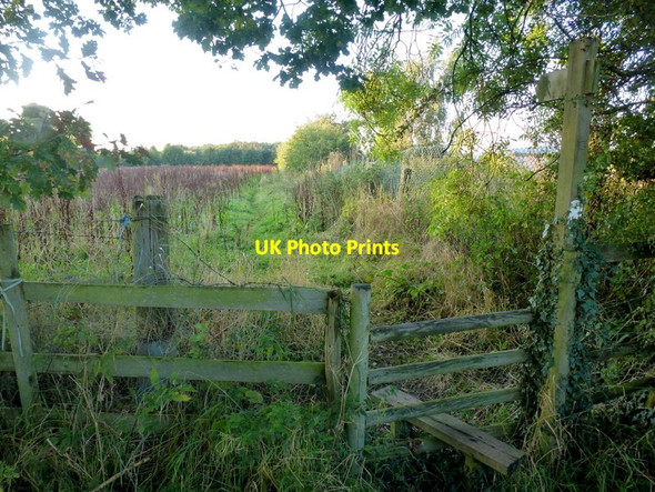 Photo 6"x4" Footpath from Snuff Hill Bournheath c2013