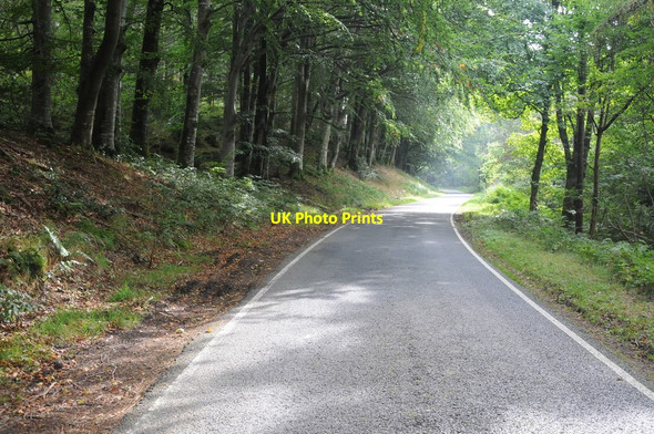 Photo 6"x4" Road around Lake Vyrnwy Moel y Bryn c2013