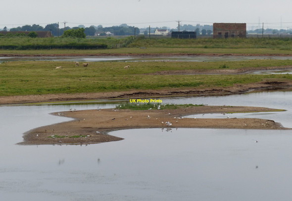 Photo 6"x4" Saline lagoon at Freiston Shore Nature Reserve Freiston Shore c2013