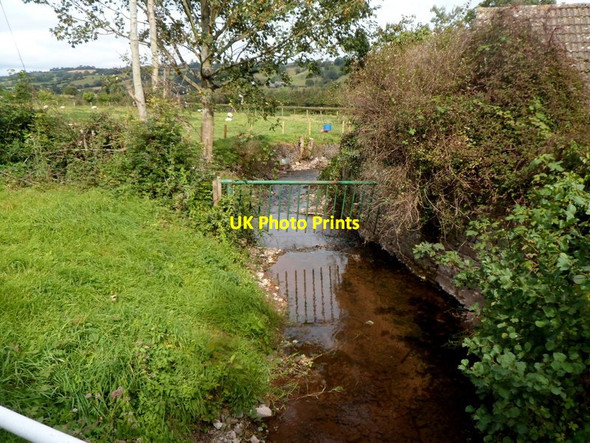 Photo 6"x4" Brook viewed from Brookland Bridge, Dorstone Dorstone\/SO3141 c2012