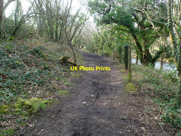 Photo 6"x4" Track along a bank of the Afon Afan in Cwmavon Port Talbot c2012