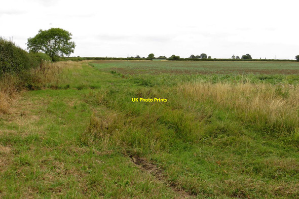 Photo 6"x4" A field by Common Lane Longworth\/SU3999 c2013