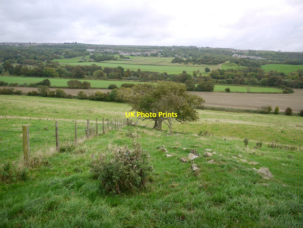 Photo 6"x4" Old boundary south of Ovington Ovington\/NZ0663 c2013