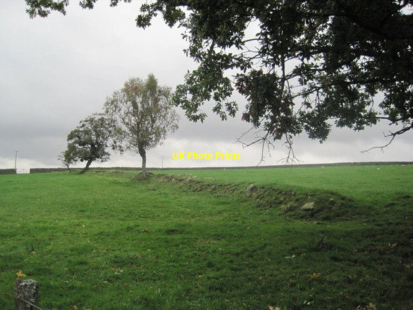 Photo 6"x4" Old Field Boundary near Greenhaugh Greenhaugh\/NY7987 c2013