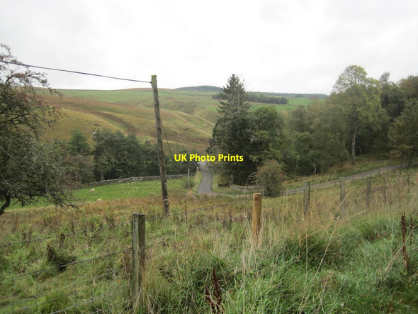 Photo 6"x4" Road towards Greenhaugh Greenhaugh\/NY7987 c2013