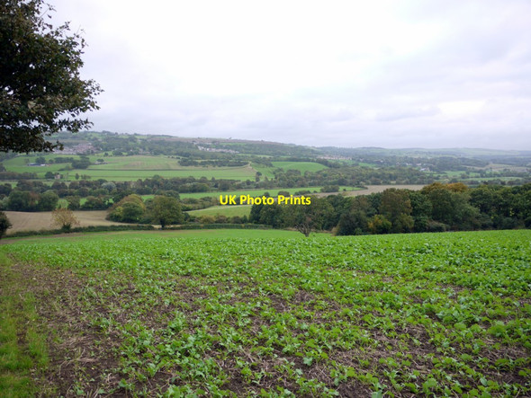 Photo 6"x4" Arable field south of Ovington Ovington\/NZ0663 c2013