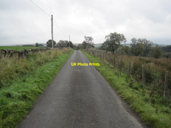 Photo 6"x4" Road to Gatehouse Greenhaugh\/NY7987 c2013