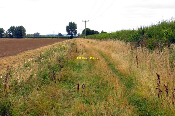 Photo 6"x4" Bridleway to Newbridge Longworth\/SU3999 c2013