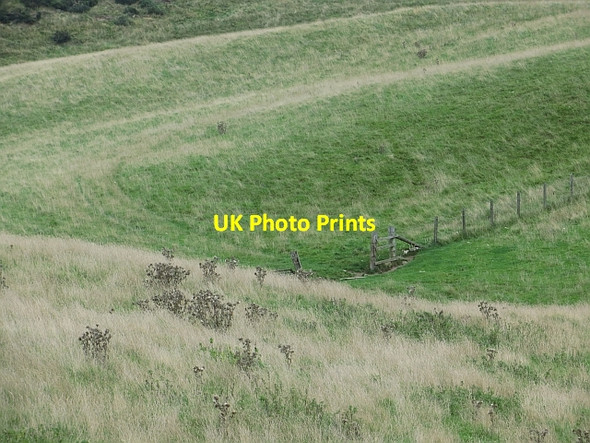 Photo 6"x4" Autumn pasture, Ochil Hills Duncrievie c2013
