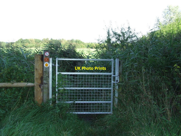 Photo 6"x4" Metal Gate Dedham Heath c2013