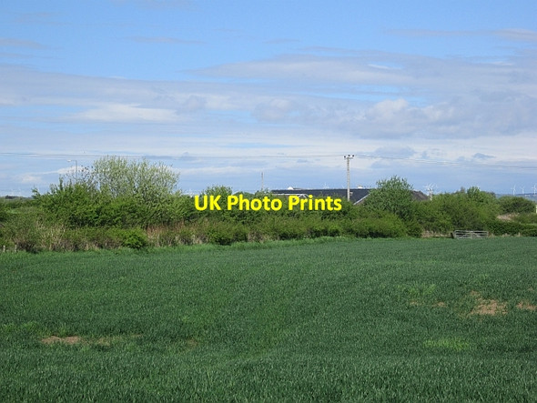 Photo 6"x4" Wheat field, Gatehead Gatehead\/NS3936 c2013