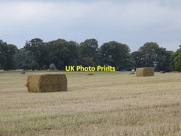 Photo 6"x4" Bales, Dunbarney Bridge of Earn c2013