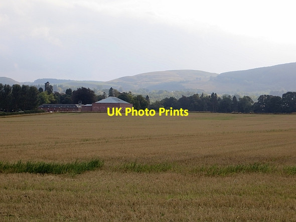 Photo 6"x4" Stubble, Kilgraston Kintillo c2013