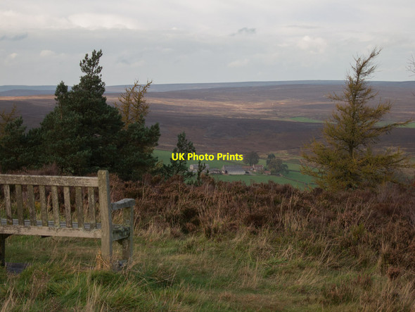 Photo 6"x4" Potter House from Helmsley Bank Helmsley Moor c2013