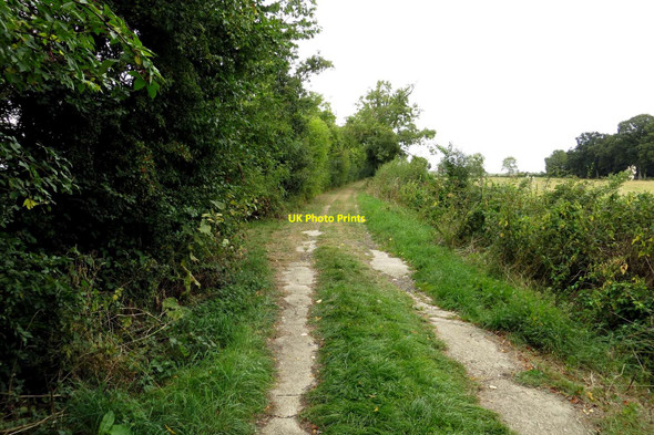 Photo 6"x4" Common Lane to Longworth Longworth\/SU3999 c2013