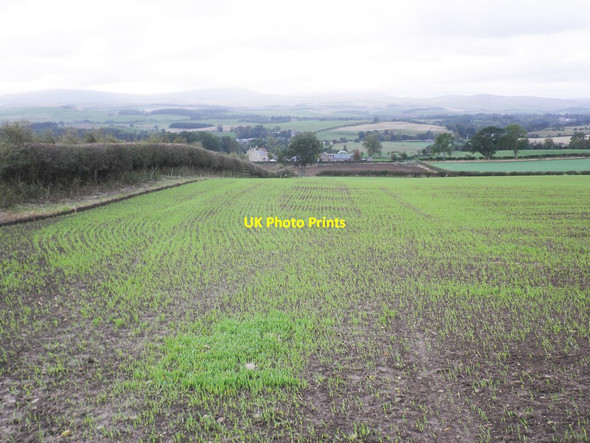 Photo 6"x4" Emerging winter crop, near Hepburn Bell Hepburn c2013