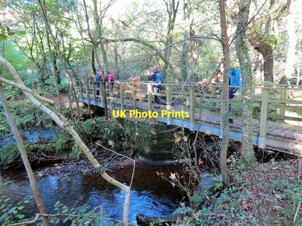 Photo 6"x4" Afon Morlais River, Llangennech Allt\/SN5502 c2012
