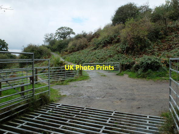 Photo 6"x4" Meeting of tracks Chandler's Cross\/SO7738 c2013