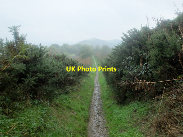 Photo 6"x4" Path south from Summer Hill Great Malvern c2013