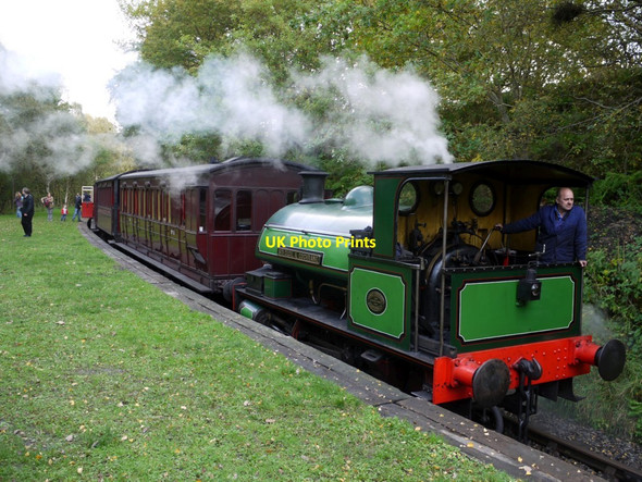 Photo 6"x4" Train at Causey Arch Station Causey c2013