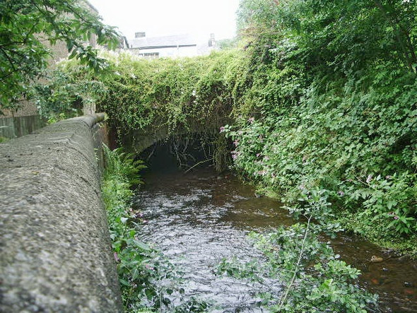 Photo 6"x4" River Darwen Darwen c2008