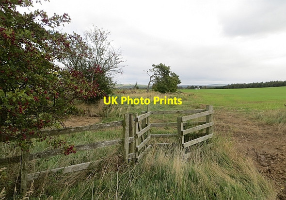 Photo 6"x4" Carrington - Stonefieldhill Carrington\/NT3160 c2013