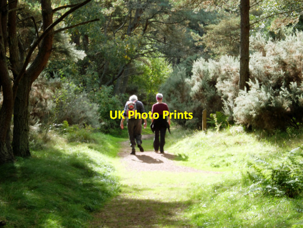 Photo 6"x4" Walkers in Tentsmuir Forest Tentsmuir Sands c2013