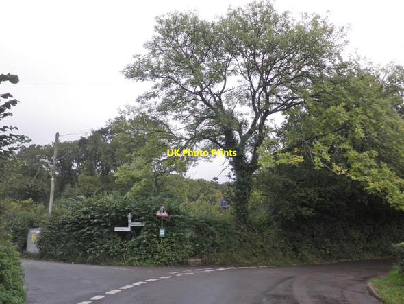 Photo 6"x4" Turning for Triscombe Heathfield\/ST1633 c2013