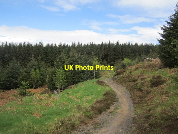 Photo 6"x4" Mabie red route Woodhead\/NX9171 c2013