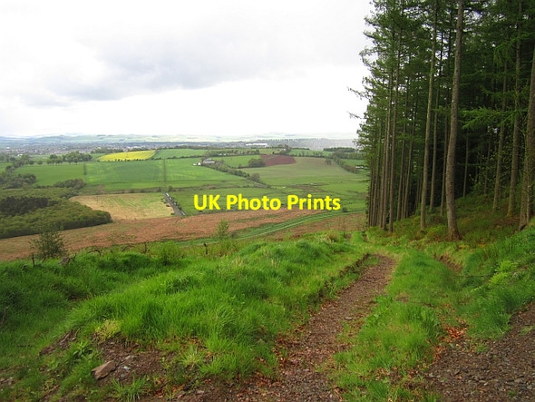 Photo 6"x4" Path, Mabie Forest Drumsleet c2013