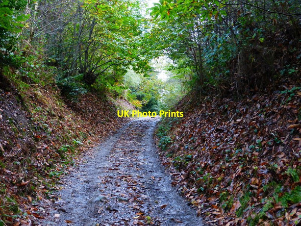 Photo 6"x4" Bend on bridleway in Todham Rough Midhurst c2013
