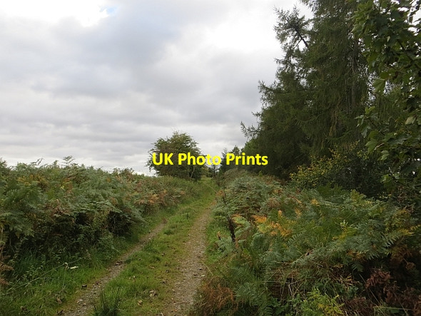 Photo 6"x4" Track, Redside Burn Carrington\/NT3160 c2013 P1