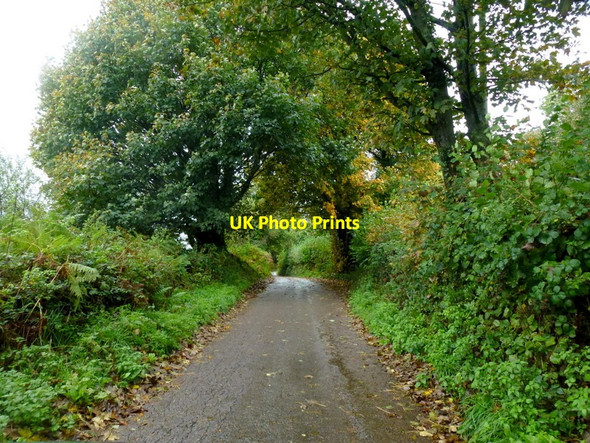 Photo 6"x4" Parkhouse Lane Broadstone\/SO5003 c2013