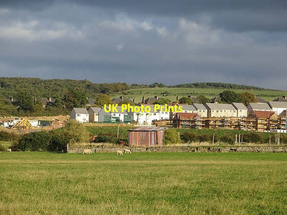 Photo 6"x4" New houses, Arniston Monkswood\/NT3363 c2013