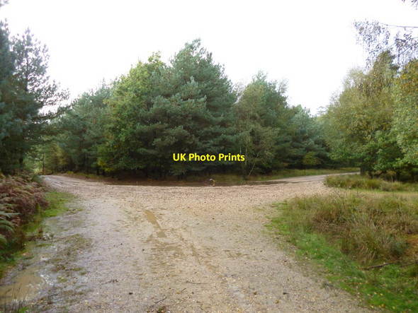 Photo 6"x4" Ringwood Forest, forestry road junction Ebblake c2013