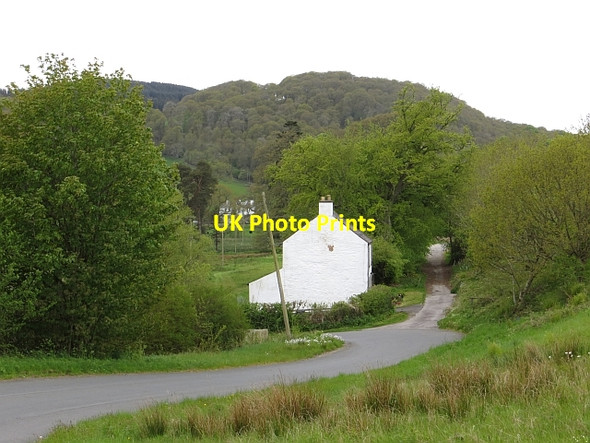 Photo 6"x4" Moss Cottage Drumsleet c2013