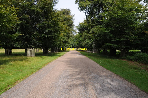 Photo 6"x4" Road through Dunham Park Altrincham c2013