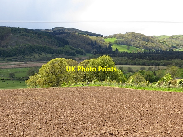 Photo 6"x4" Cultivated ground, Carruchan Cargenbridge c2013