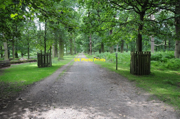 Photo 6"x4" Parkland drive, Dunham Massey Hale\/SJ7686 c2013
