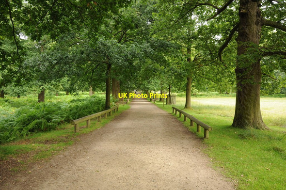 Photo 6"x4" Parkland road, Dunham Park Little Bollington c2013