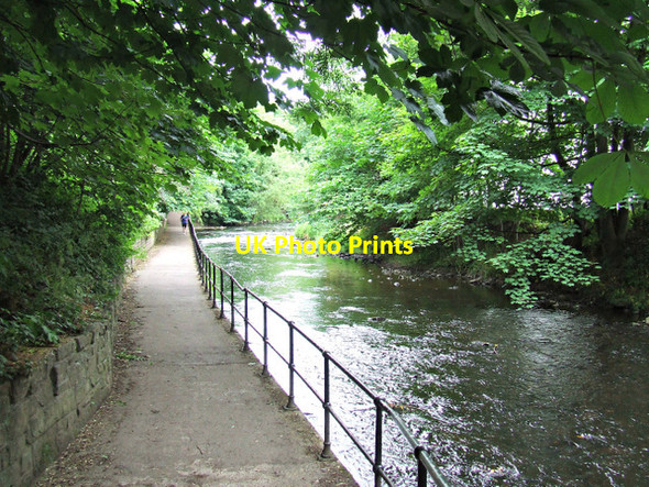 Photo 6"x4" Water of Leith Craigleith\/NT2374 c2013 P1