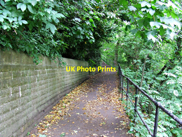 Photo 6"x4" Water of Leith path Craigleith\/NT2374 c2013