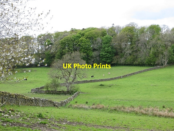 Photo 6"x4" Dyke, Crochmore Irongray c2013