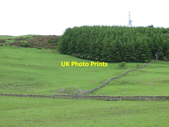 Photo 6"x4" Meikle Barncleugh Hill Irongray c2013