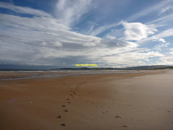 Photo 6"x4" Coastal East Lothian : Belhaven Sands West Barns c2013